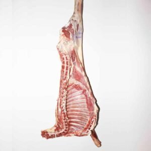 Lamb meat